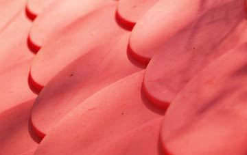 Scrivelsby plastic roof costs